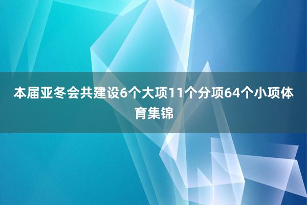 本届亚冬会共建设6个大项11个分项64个小项体育集锦