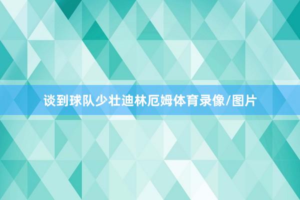 谈到球队少壮迪林厄姆体育录像/图片